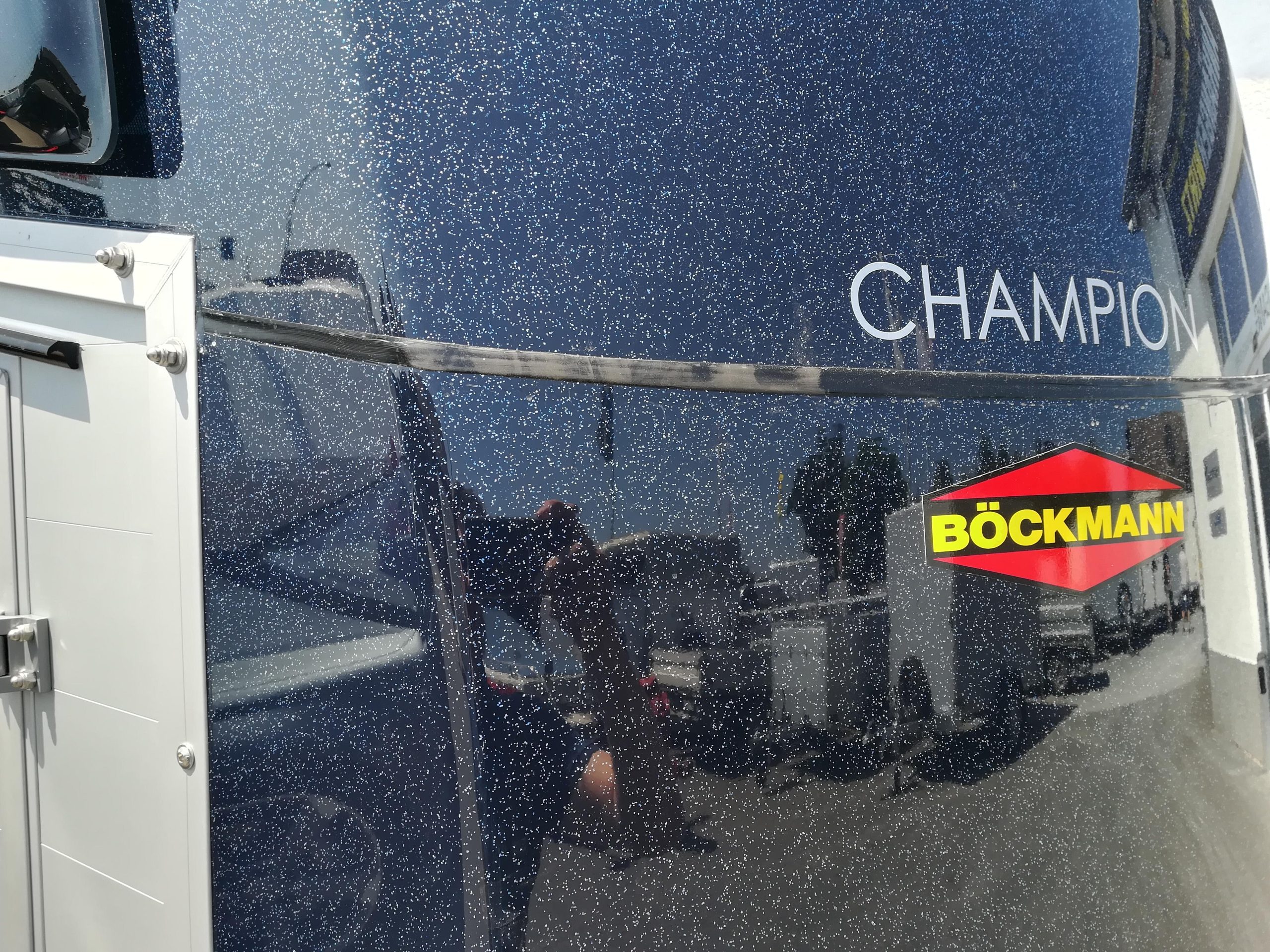 Pferdeanhänger Böckmann Champion R Sattelkammer blueline 2400kg CFF+ 100 km/h Modell 2025 – Bild 4